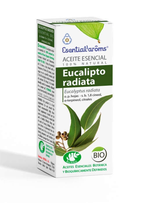 Aceite Esencial Eucalipto Radiata 10ml Bio