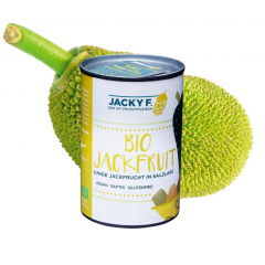 Jackfruit Lata 400g2