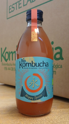 Biokombucha  Happy Spices - Botella 0.33