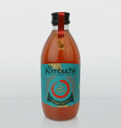 Biokombucha  Happy Spices - Botella 0.33