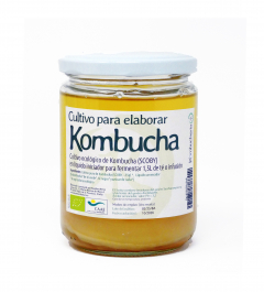 Cultivo de Kombucha (SCOBY) Bio